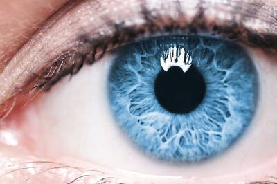 World's First Bionic Eye: Decade-Old Study Reveals Breakthrough In Restoring Vision