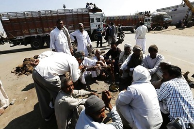 HC Stays 10% Reservation for Jats, 5 Other Communities in Haryana