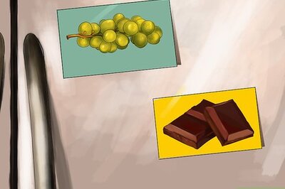 How to Keep Your Dog Away from Halloween Candy