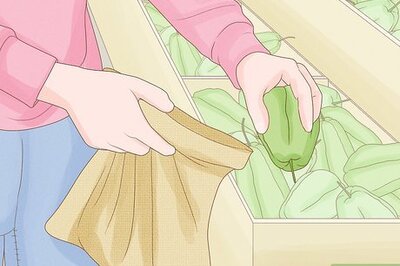 How to Grow Chayotes