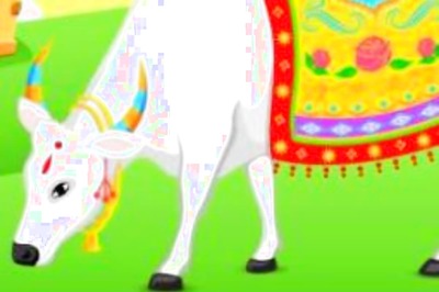 Kanuma Celebrations: Everything You Need to Know About the Holy Annual Festival