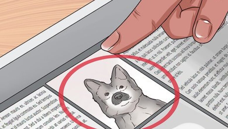 How to Find Dogs Needing to Be Rehomed