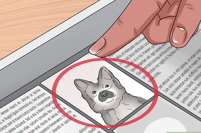 How to Find Dogs Needing to Be Rehomed