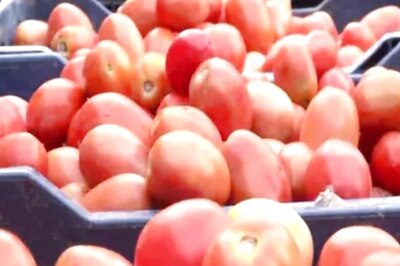 NCCF Starts Selling Subsidised Tomatoes At Rs 60/Kg From Today In Delhi-NCR