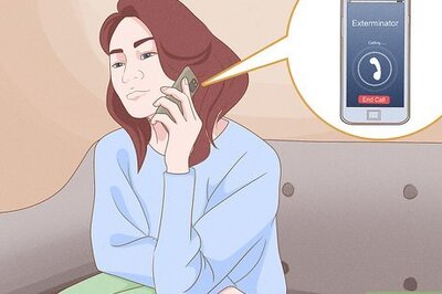 How to Kill Yellow Jackets in the Wall