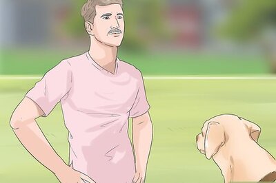 How to Train a Dog to Come
