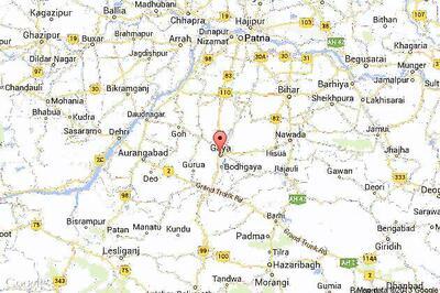 1,100 tortoises found after villagers complain of foul smell, smuggler arrested