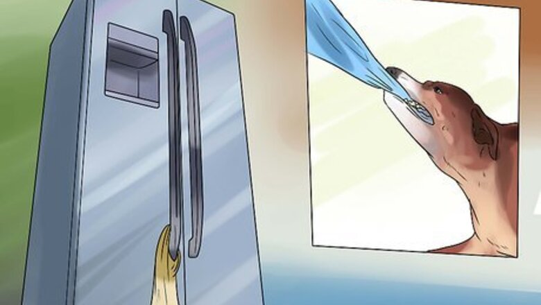 How to Teach Your Dog to Get a Beer