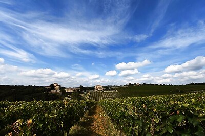 Whither Wine O'Clock? Trade Frets Over Brexit