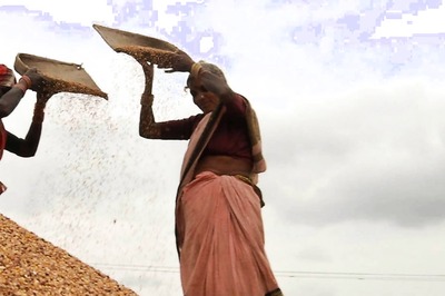 Farming in UP to be Hi-Tech Soon as FCI Upgrades Conventional Storage to Silos