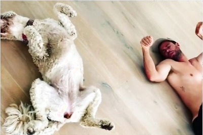 Chris Hemsworth Wins Hearts with Adorable Dog Video, Watch Here