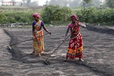 Union Budget 2015 may back off fertiliser subsidy reform