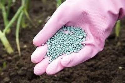 Government to revive two fertiliser units, nod for Jagdishpur-Haldia pipeline