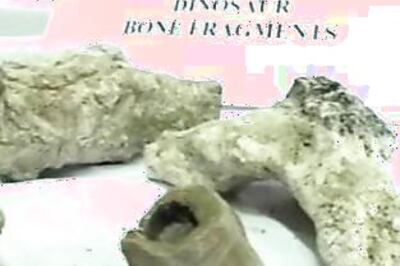 Dinosaur eggs found in TN, say geologists