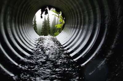 Undetected Variants, Cryptic Lineages: Wastewater Probe Raises New Covid Mystery