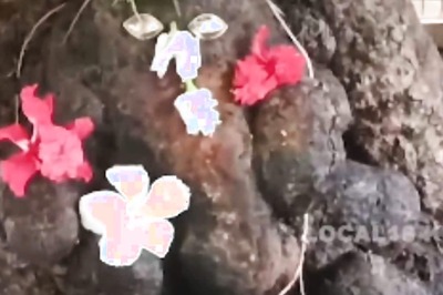 In Karnataka’s Bharatanahalli Village, This Ganesha Idol Is Known For Its Natural Formation In A Tree Trunk