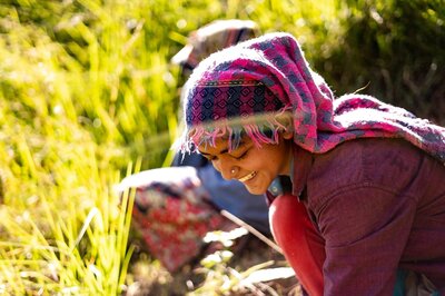 Budget 2023 Expectations: Will Rural Demand Push FMCG Sector Up?