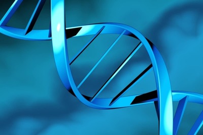 New Study Sheds Light on the Reason for Worse Cancer Outcomes Among Older Men