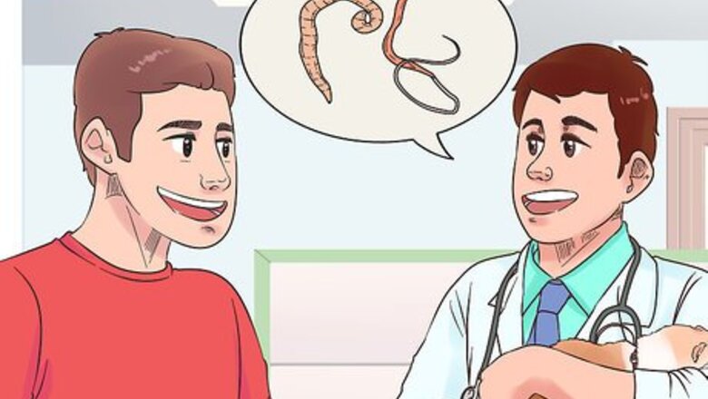 How to Deworm a Ferret