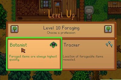 Should You Choose Botanist or Tracker in Stardew Valley?