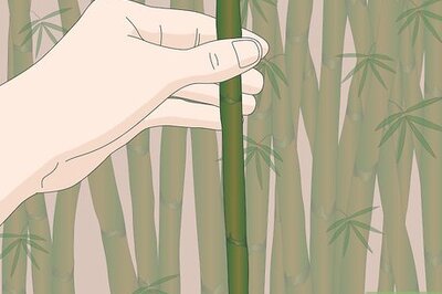 How to Make Bamboo Straws