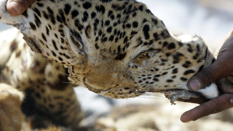 SC dismisses poacher Sansar Chand's appeal