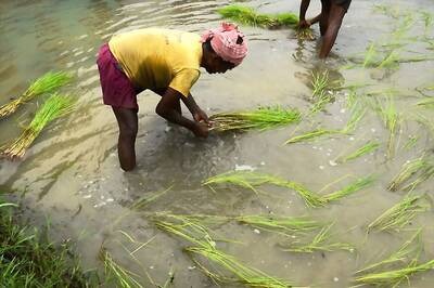 MP Farmers up in Arms Against ‘Needless’ Irrigation Project, Say 50,000 Will Lose Land