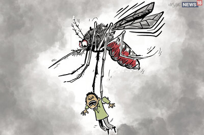 Dengue Cases on the Rise in Pakistan's Punjab Province; 218 Tested Positive in a Day