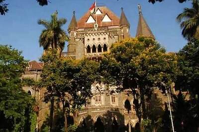 Bombay HC Says Mechanism Needed for Regulation of Stray Dogs; Seeks NGO's Help