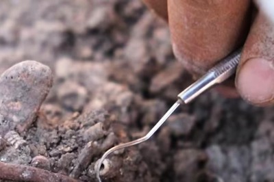 11,000-year-old Human Remains With 100 Ornaments Found In Turkey