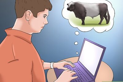 How to Identify Belted Galloway Cattle