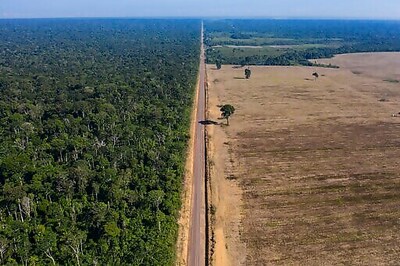Brazil's Amazon Deforestation Surges To Worst In 15 Years
