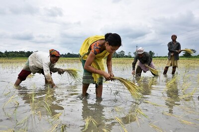 NITI Aayog Vice Chairman Calls for Review of Essential Commodities Act to Boost Farm Exports
