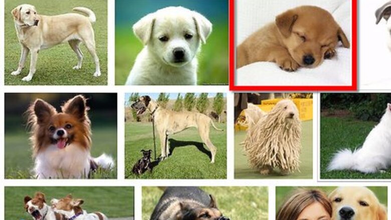 How to Put Google Images in Email