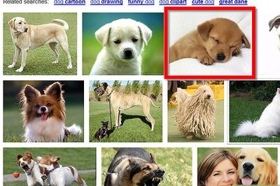 How to Put Google Images in Email
