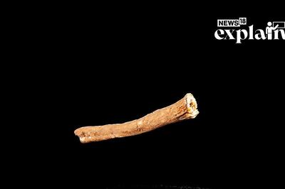 Less Stress & Better Sex: As Ashwagandha Goes 'Mainstream', a Look at What Studies Say About Herb