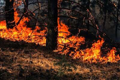 Climate Change Could Force 216 Million People to Migrate by 2050, Says World Bank