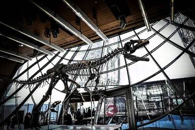 150-million-year-old Dinosaur Skeleton Sells for Two Million Euros
