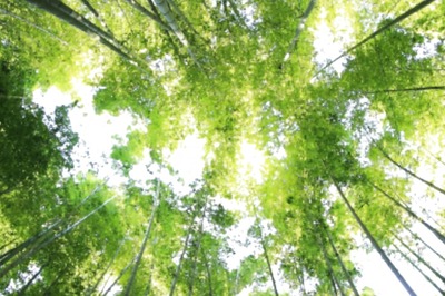 ‘Unscientific’: Modi Govt Rebuts Environment Survey's 'Worst Sustainable Country' Rating