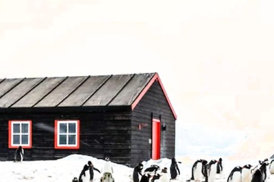 Inside Antarctica’s ‘Penguin Post Office’, The World’s Most Remote Mail Depot