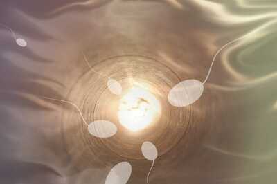 Let’s Talk Sex | How Long Does It Take for Sperm to Regenerate? The Answer Revealed