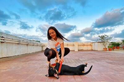 Lockdown Life: Sonakshi Sinha Posts Adorable Picture With Pet Dog Gabru