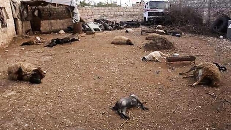 'Compelling' evidence of Syrian chemical attack, says US lawmaker