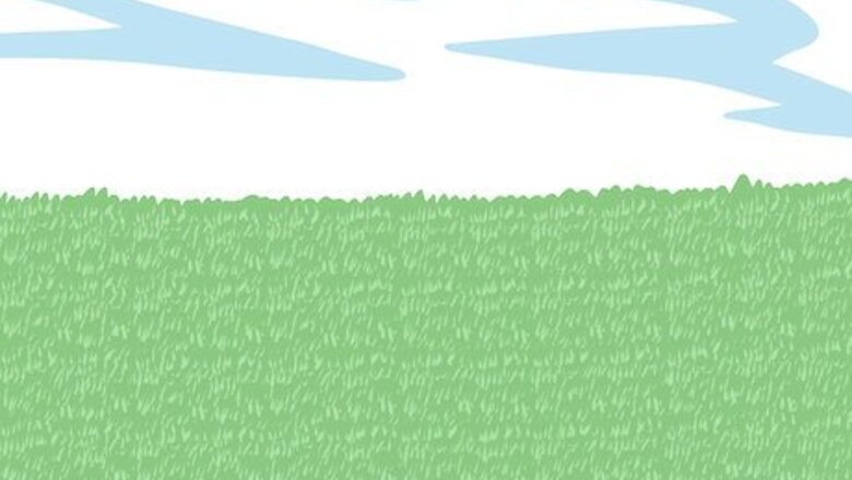 How to Save Water with a Sleeping Lawn