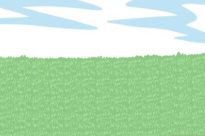 How to Save Water with a Sleeping Lawn