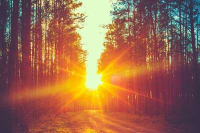 Aaj Ka Panchang, February 1, 2024: Tithi, Vrat, and Today’s Shubh, Ashubh Muhurat