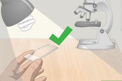 How to Prepare Microscope Slides