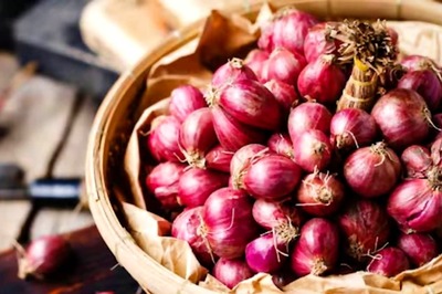 Govt Starts Discounted Onion Sale at Rs 35 per kg in Delhi-NCR, Mumbai