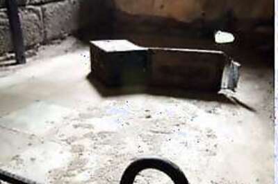 Mafia boss to become prison parent