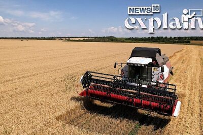 Russia Exits Grain Deal: Which Countries to be Worst-Hit & Options for Ukraine | Explained
